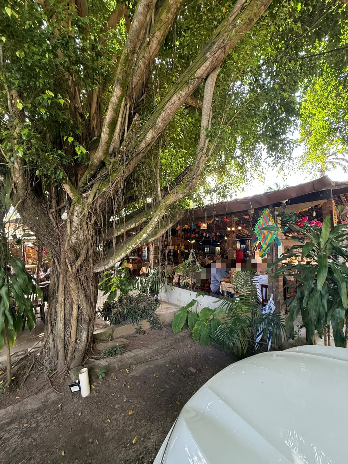 Restaurante O Nordestão